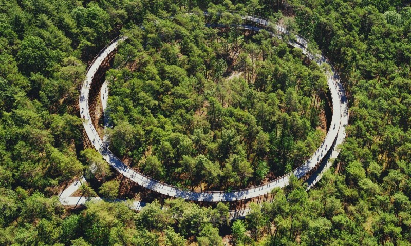 Fietsen door de bomen